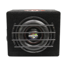 10 inch 1800 Watt Powered Double Coil Subwoofer